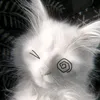 t_thiyr