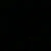 wenzin_pxxfox