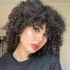 niloofar_fz