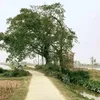 nguynvnby239