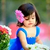 user72223229528840