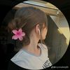 aishaaisha2171