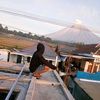 arifin2222005
