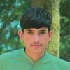 kingwazir232