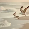 _florescer_0