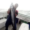 fernando.barros.f
