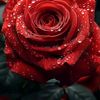 user7811312830407