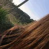 rafa_frangofrito2