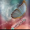 aml.msoud