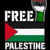 justfreepalestine2