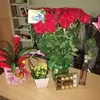 ausra.dudonyte