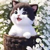 ha.ngoc.luyn