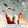 user8117901561323