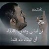 chawki.dridi8