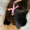 xi_tt3