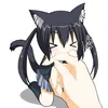 mav.cati