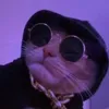 q_ifkv
