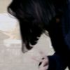 kimiya.ip