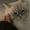siham.laoumri