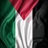 ehab.hassan071