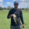 bluecollarwill