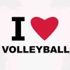 vz_volleyball