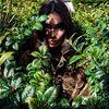 haveyoubeenherbivore