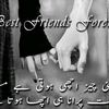 shanesahaba_zindhabad