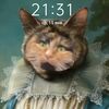 mo_nika771