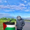nizal.fariz
