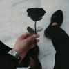 musayev.949