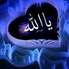 saidi2586