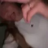 userf5p3ug42iq