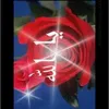 user98734516290272