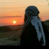 siirtli56932