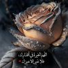 ali1363329