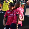 cerezo_is_best