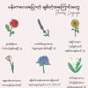 zaw0212