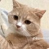 aull_463