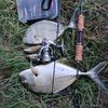mancing.lagi.to