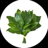 zhaolusi_1280