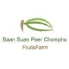 baan.suan.paer.ch
