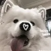 nhanvienho
