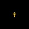 vlasovivan_20799