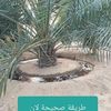 user54908712487540