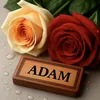 adam_sherzad