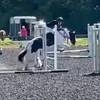 jesspoppyeq