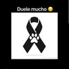 carmenrosa096