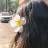 emmy._.006