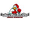 Bintang Jaya Rooster